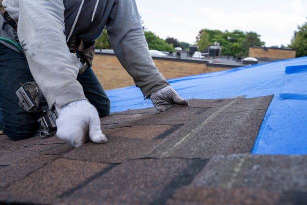 Roof Waterproofing Services in Farmland, IN